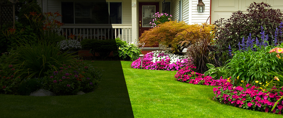 Forest Hill Landscapers