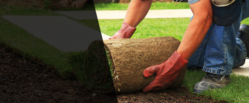 Forest Hill Landscapers